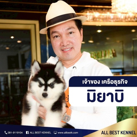 ฟาร์มลูกสุนัขไซบีเรียน