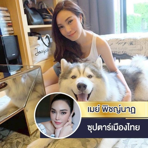 ฟาร์มสุนัขไซบีเรียน ฮัสกี้ นนทบุรี