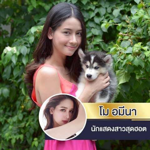 หาฟาร์มสุนัขไซบีเรียน ฮัสกี้