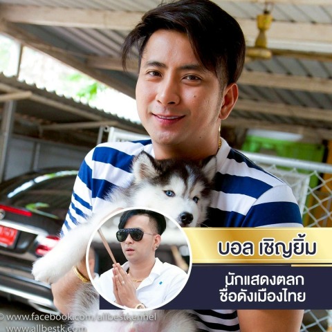 ฟาร์มขายลูกสุนัขไซบีเรียน ฮัสกี้